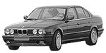 BMW E34 P1449 Fault Code