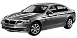 BMW F10 P1449 Fault Code